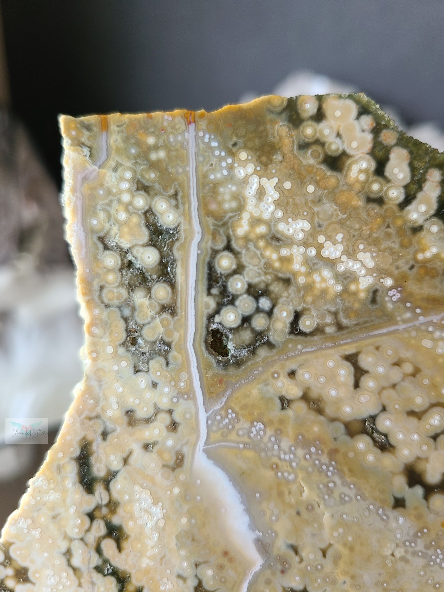 Ocean Jasper Slice and Palm stone