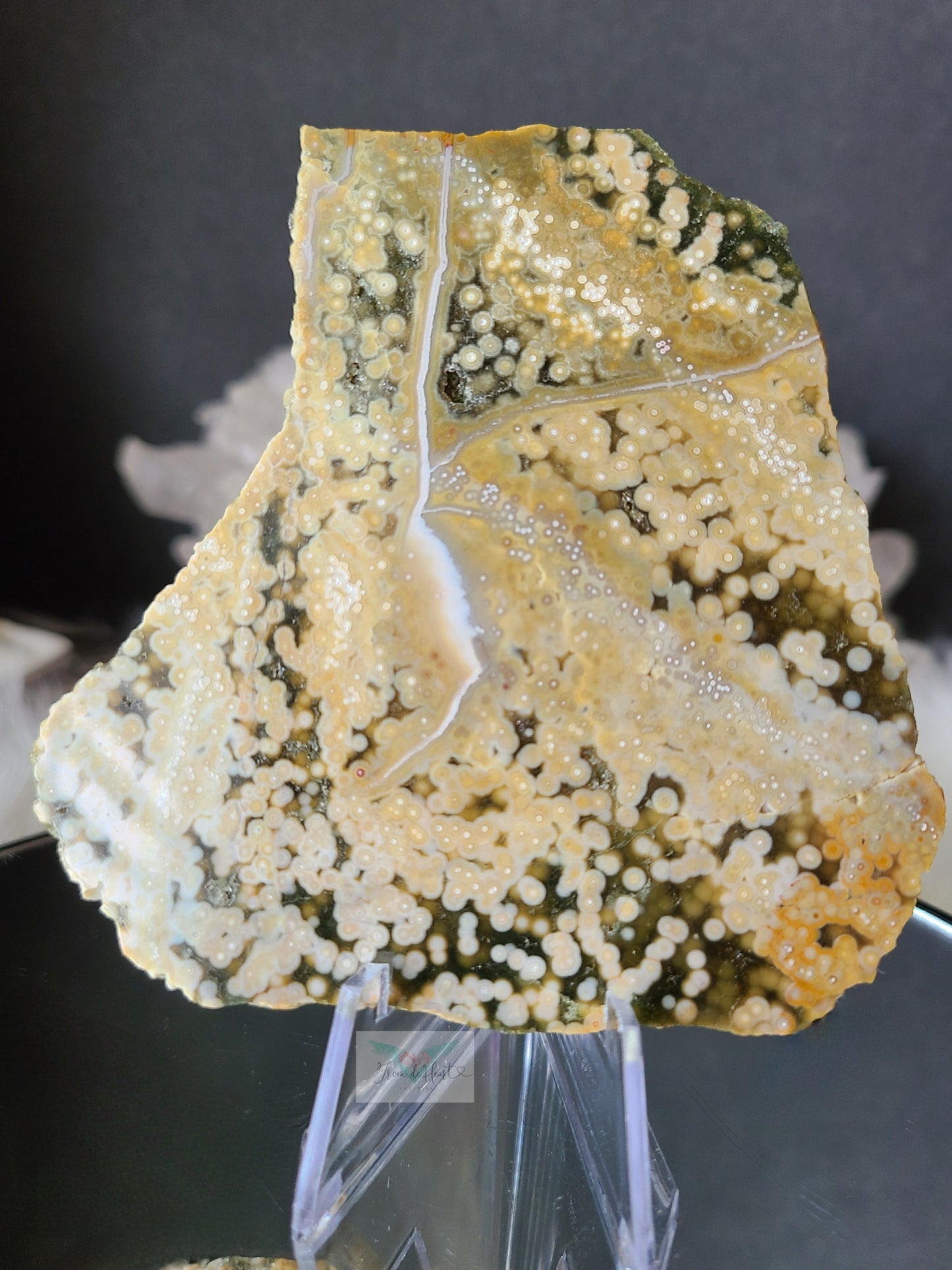 Ocean Jasper Slice and Palm stone