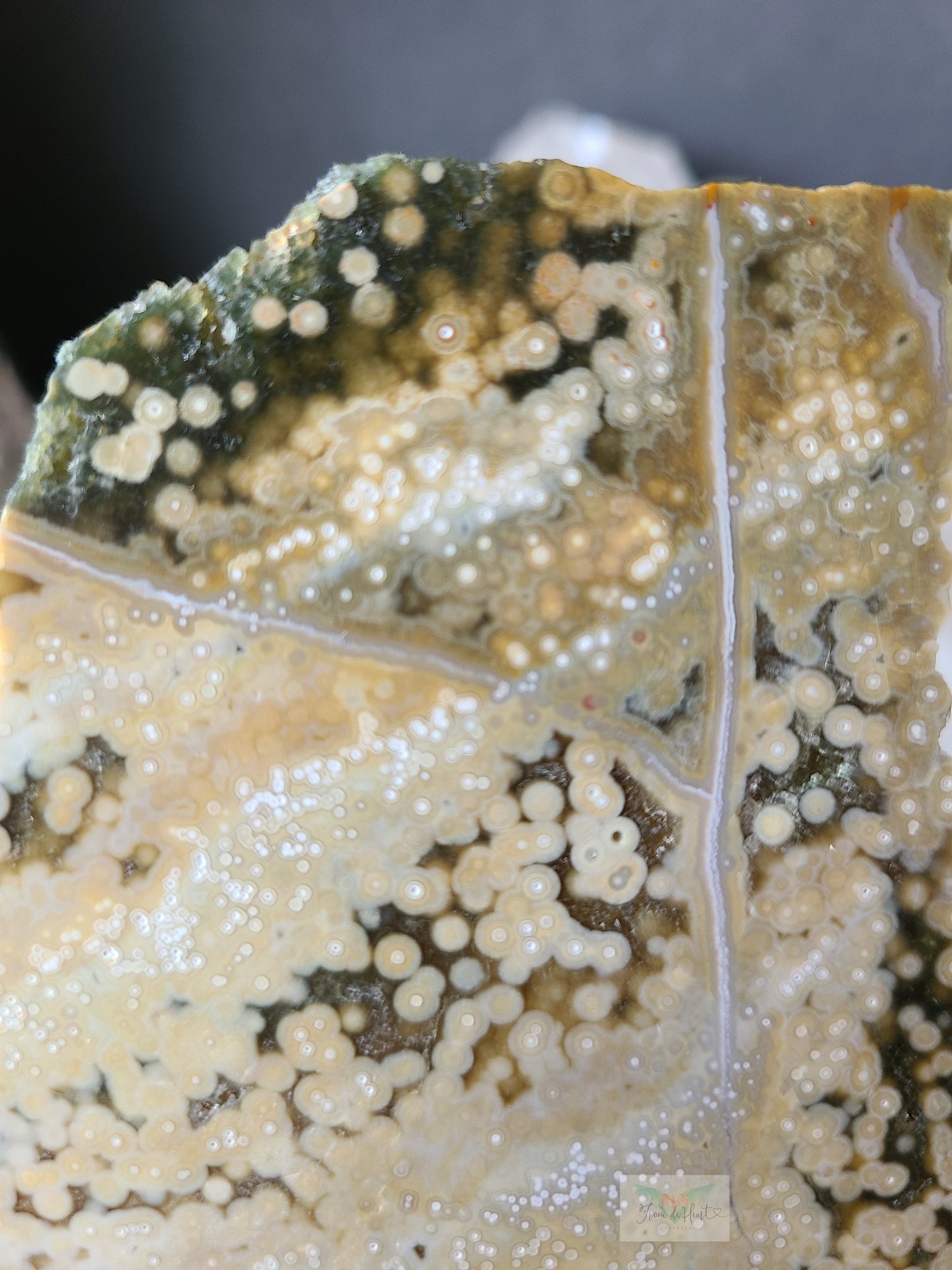 Ocean Jasper Slice and Palm stone
