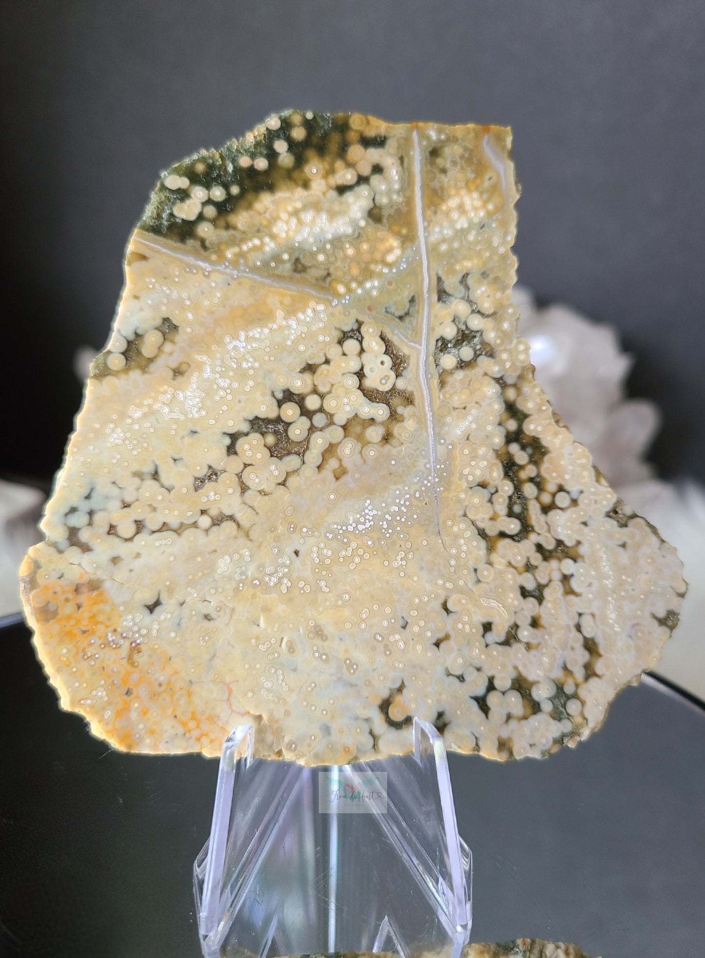 Ocean Jasper Slice and Palm stone