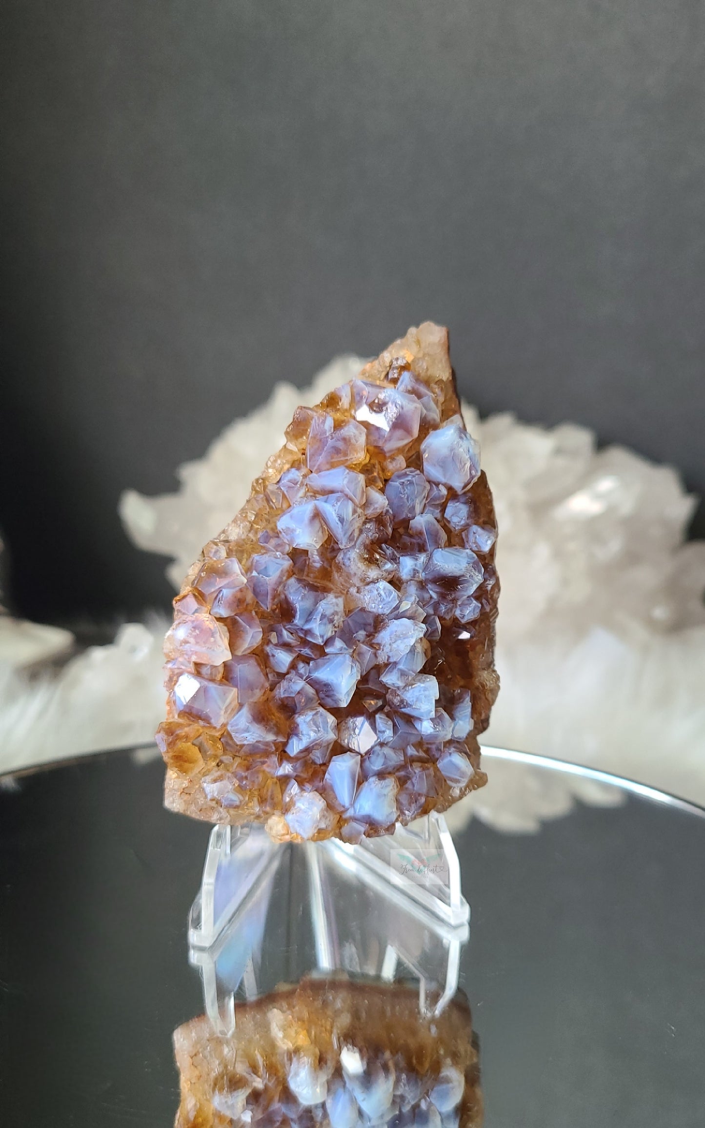 Blue Chalcedony on Amethyst Citrine (RARE)
