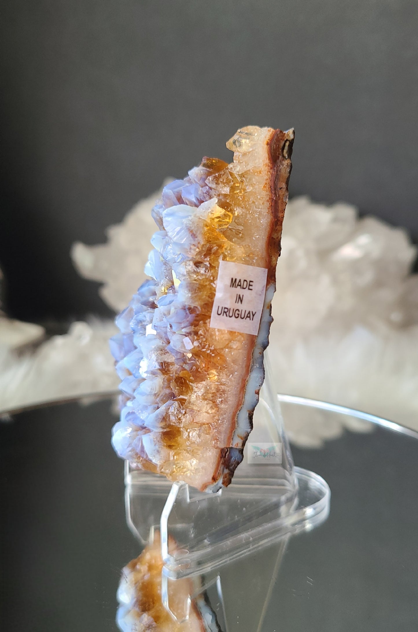 Blue Chalcedony on Amethyst Citrine (RARE)