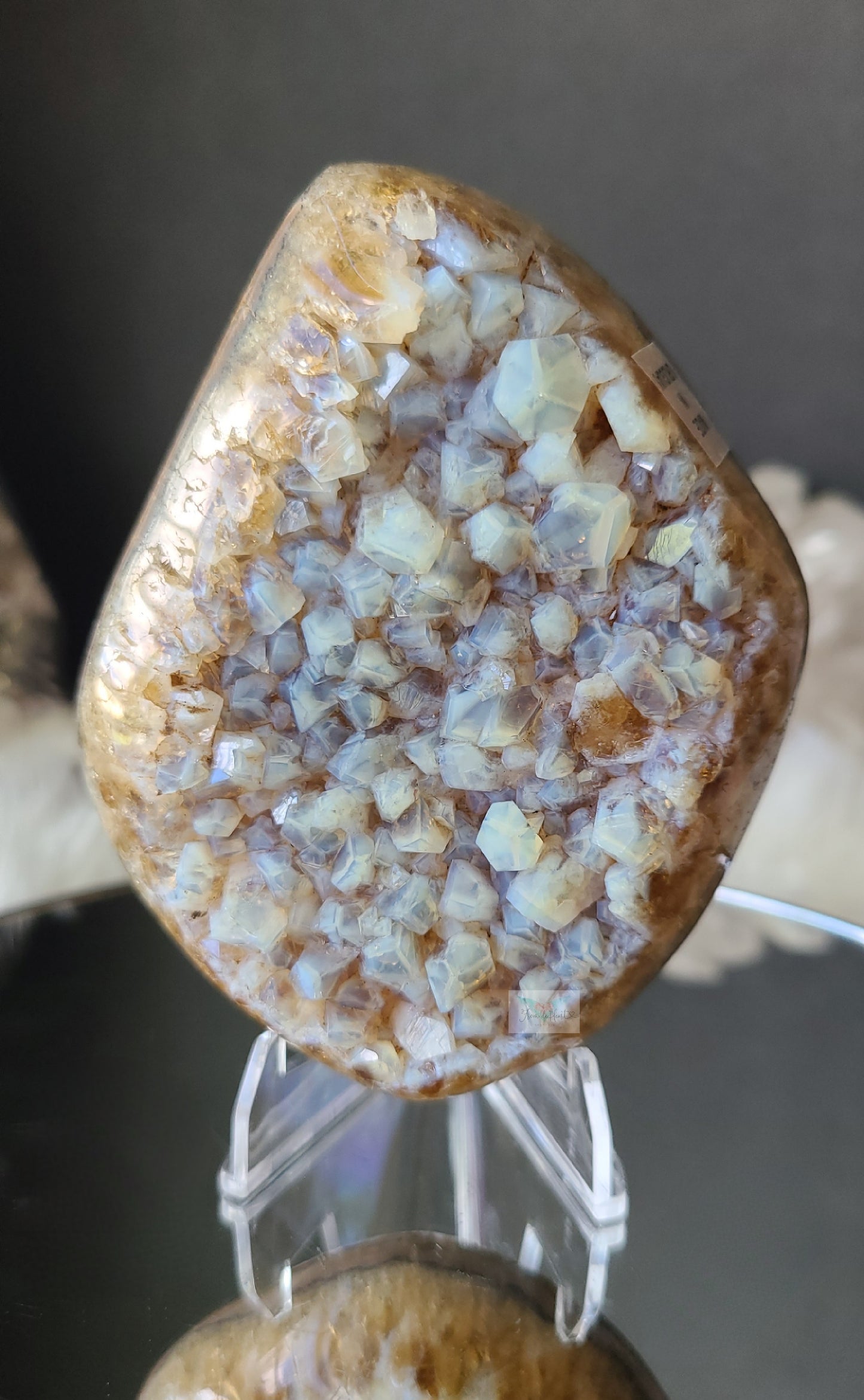 Blue Chalcedony on Amethyst Citrine (RARE)