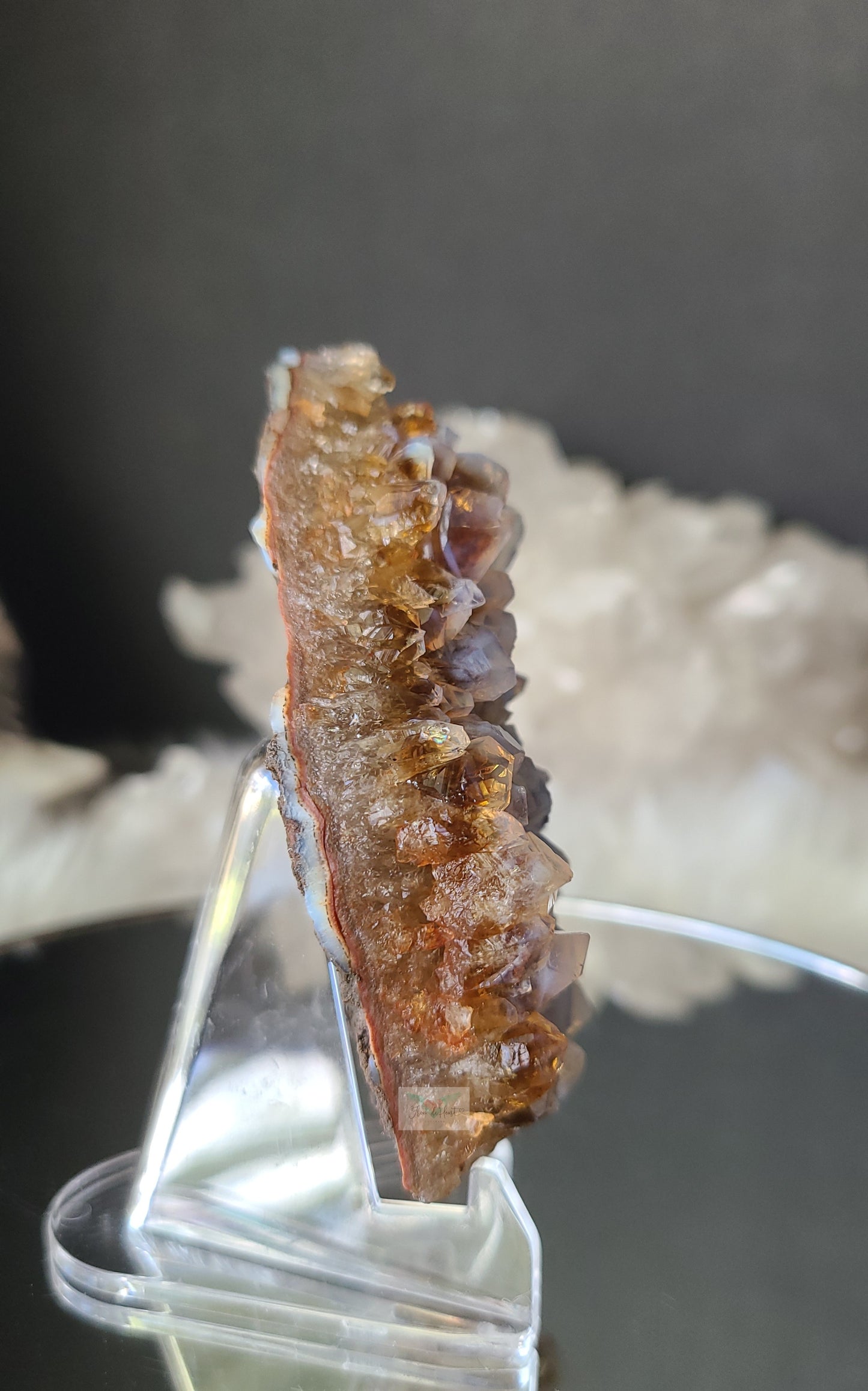 Blue Chalcedony on Amethyst Citrine (RARE)