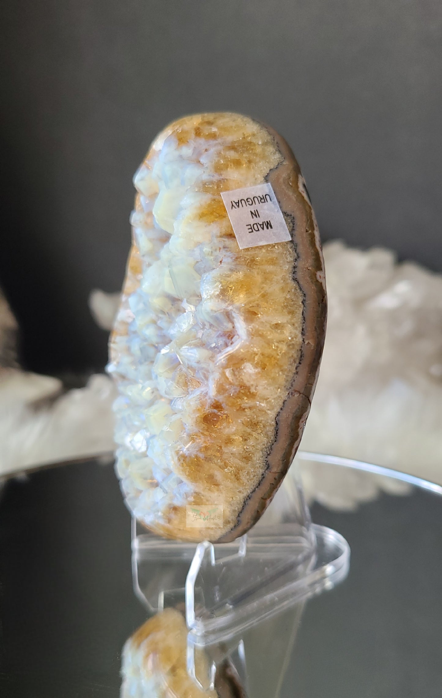 Blue Chalcedony on Amethyst Citrine (RARE)