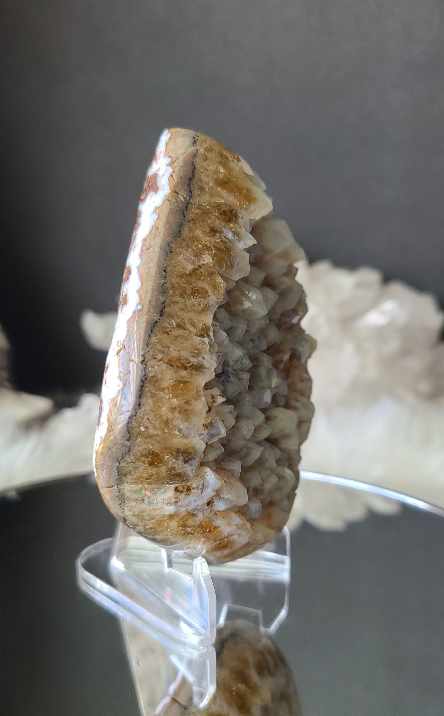 Blue Chalcedony on Amethyst Citrine (RARE)