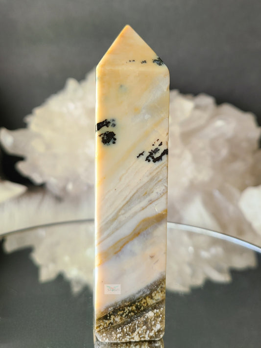 Dendritic Yellow Ocean Jasper (RARE)