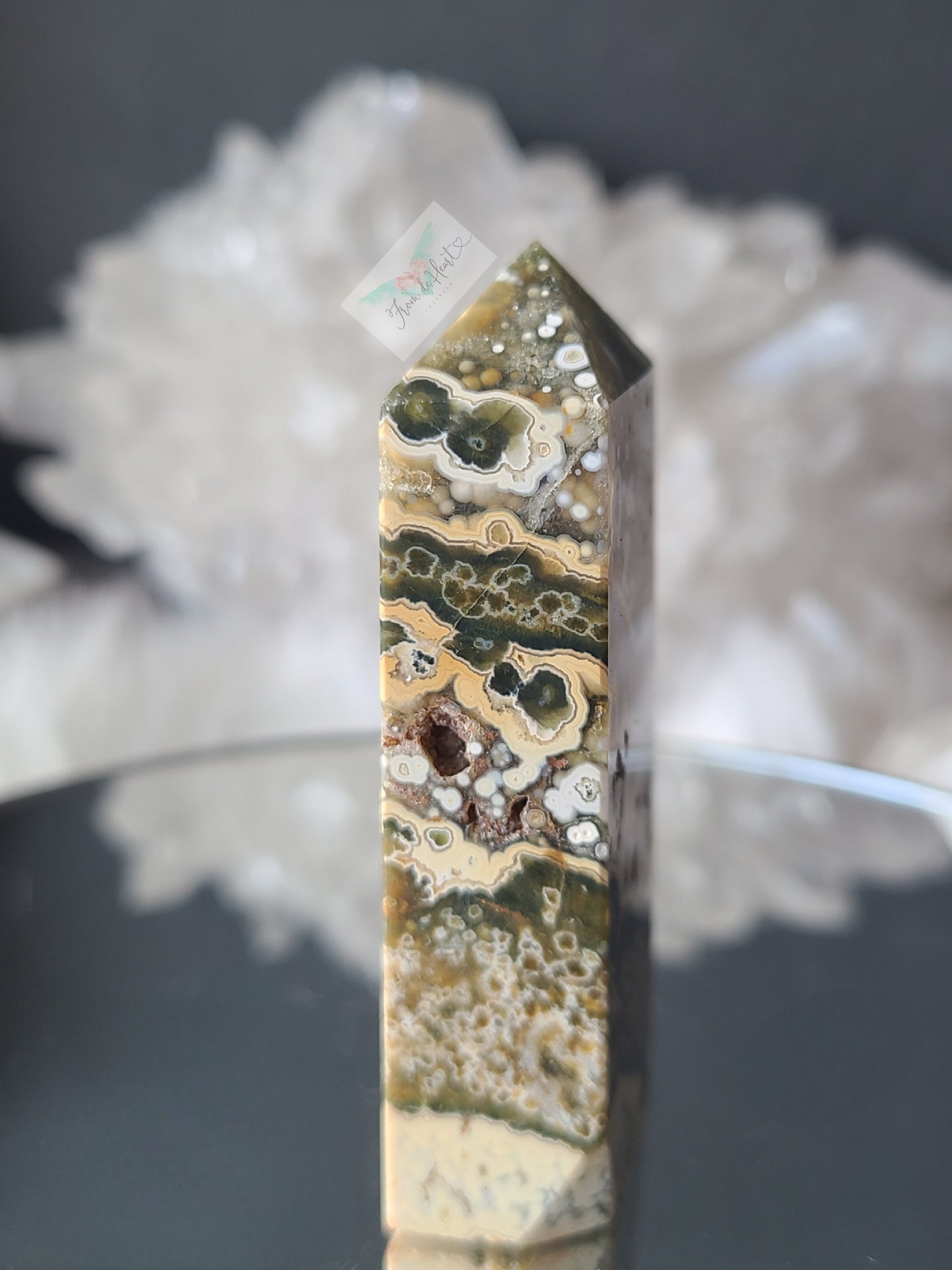 RARE Ocean Jasper