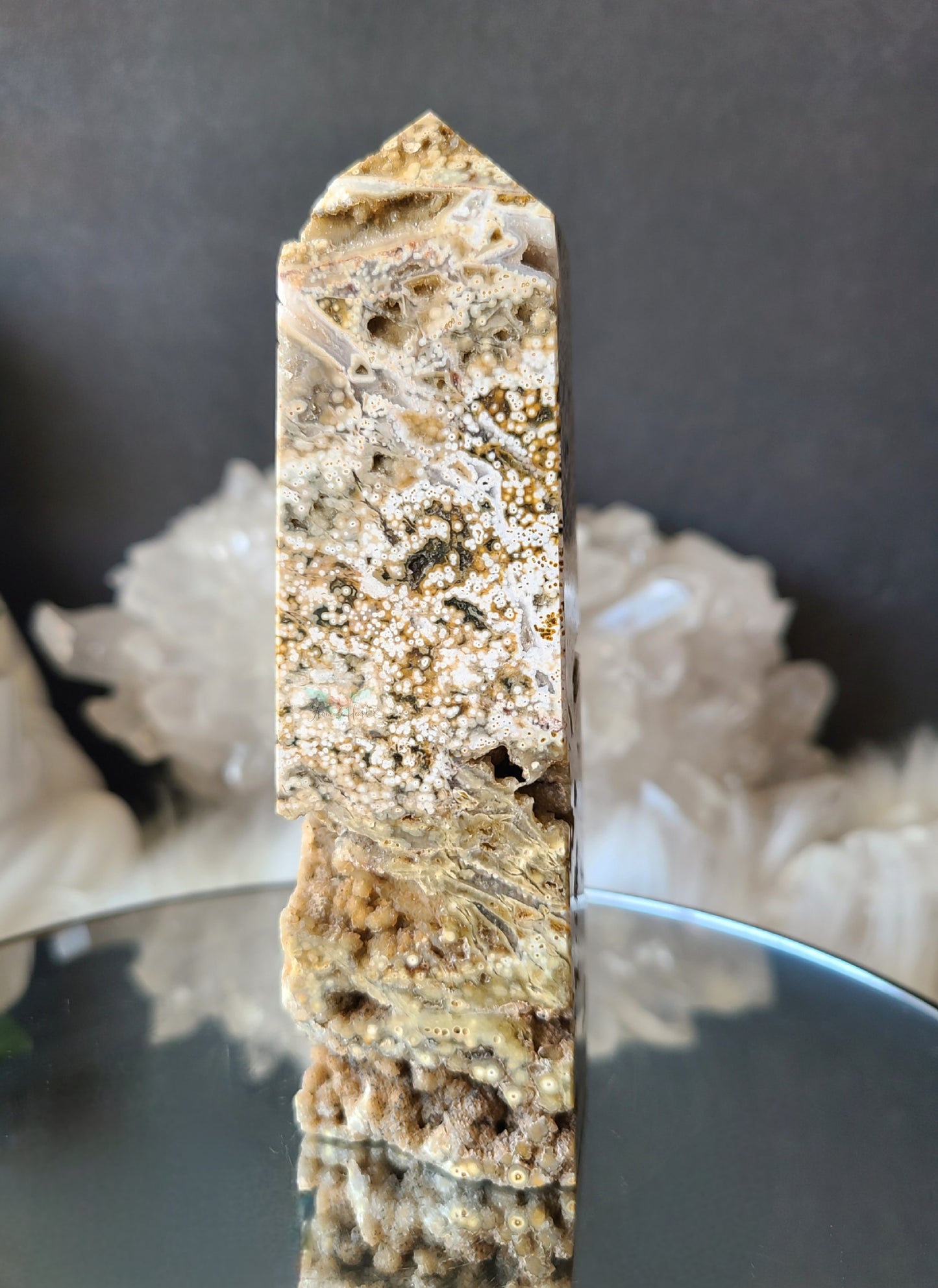 Orbicular Ocean Jasper