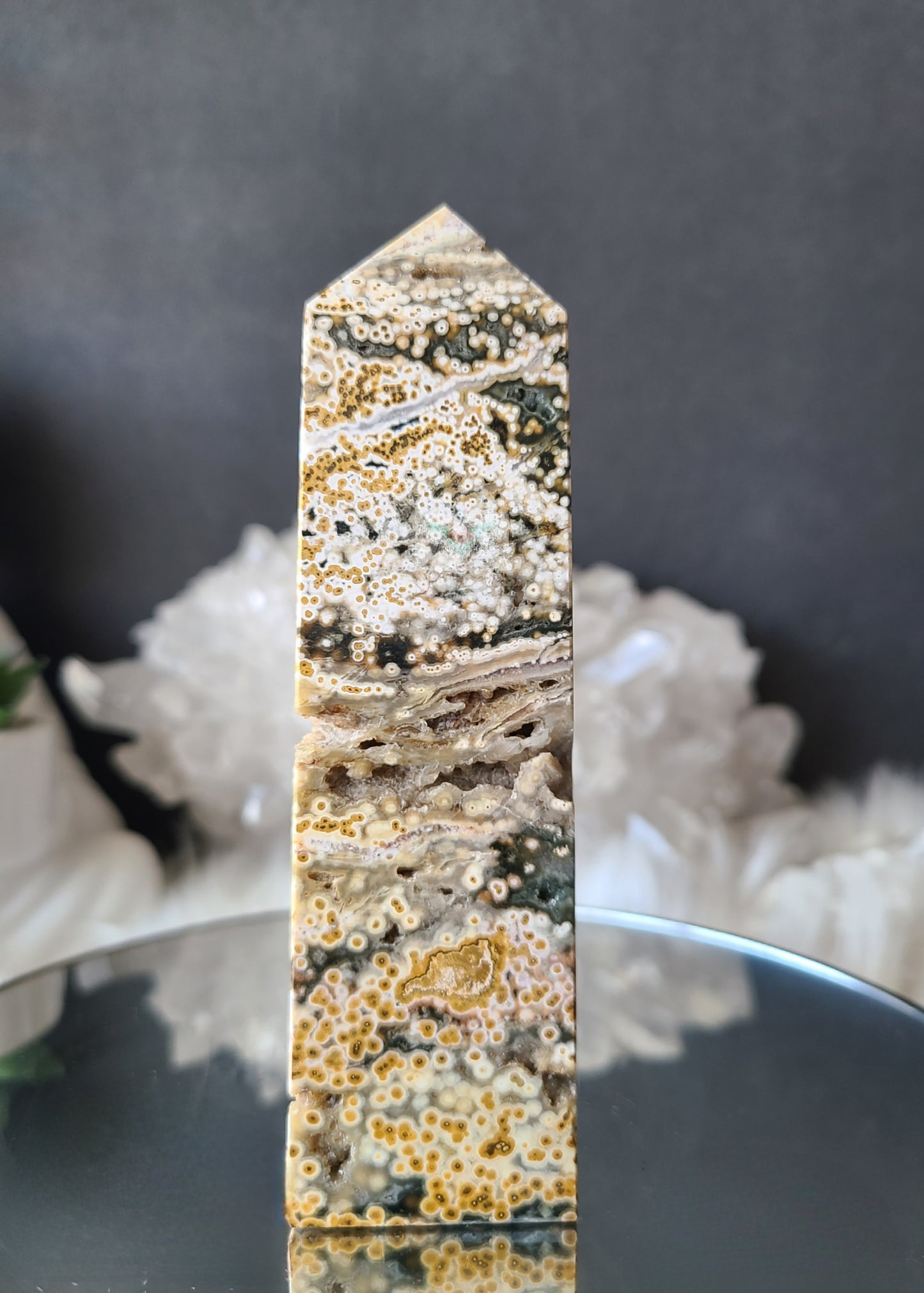 Orbicular Ocean Jasper
