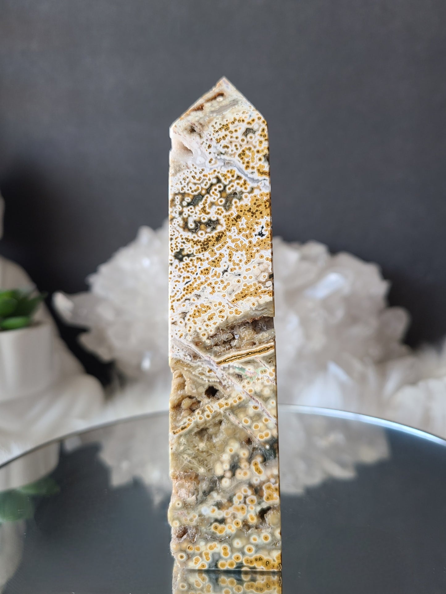 Orbicular Ocean Jasper