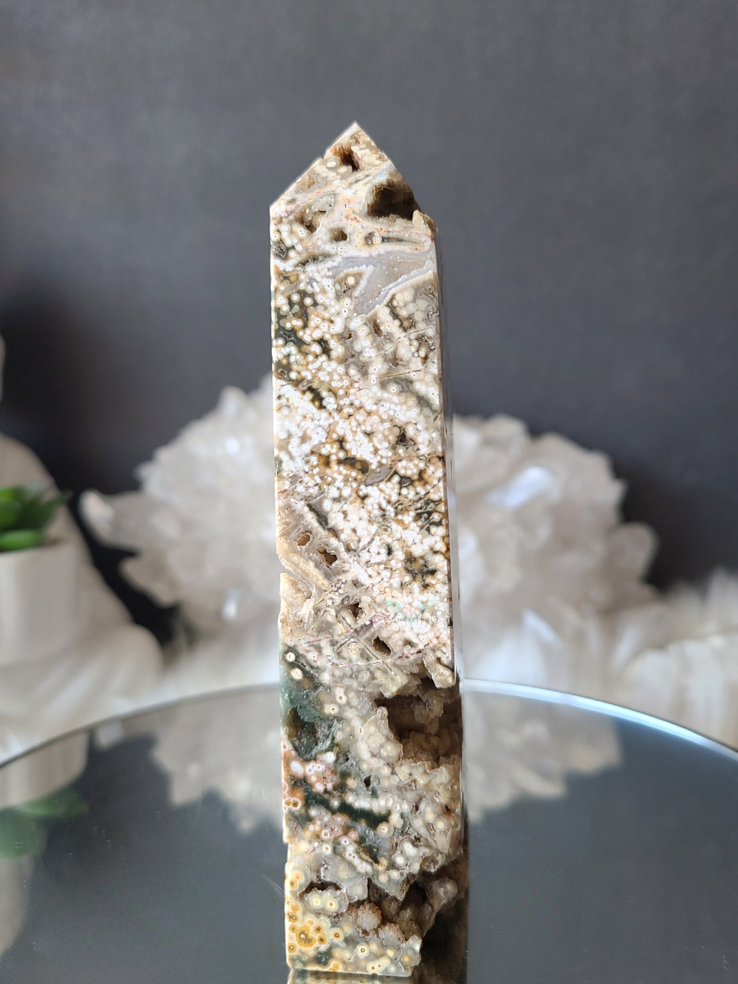 Orbicular Ocean Jasper