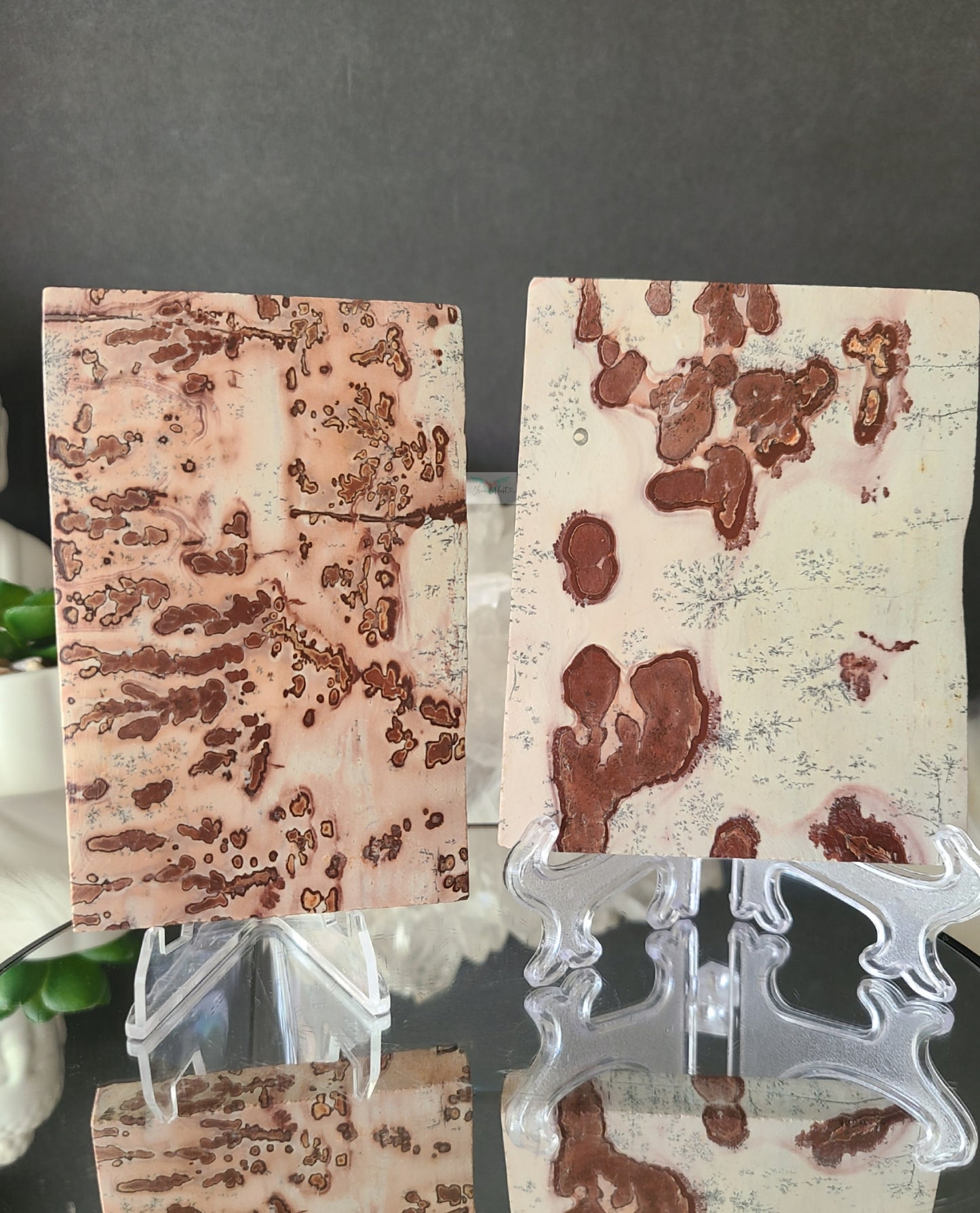 Dendritic Picture Jasper Slab (B)
