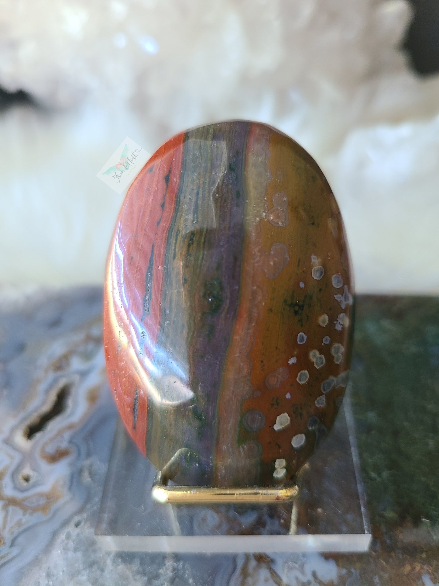 Colorful Ocean Jasper Palm Stone