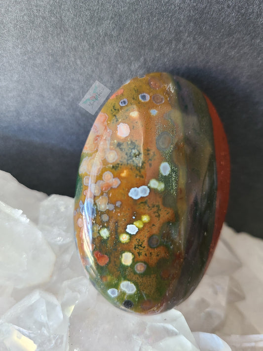 Colorful Ocean Jasper Palm Stone