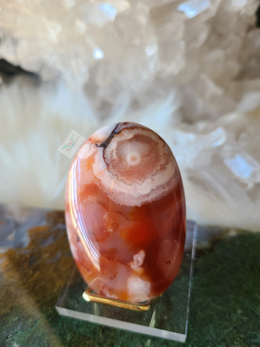 Carnelian Flower Agate Palm stone