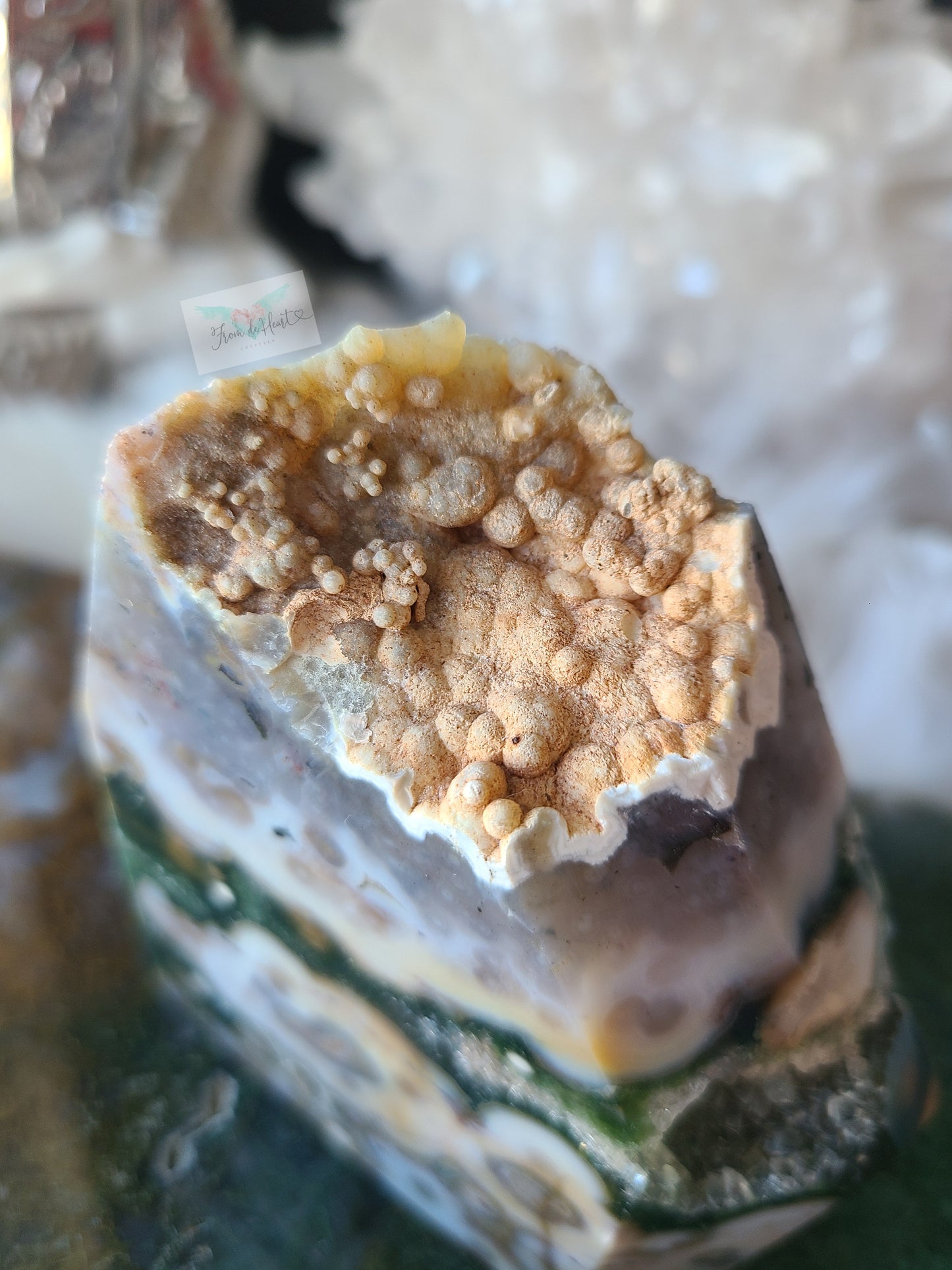 Orbicular Ocean Jasper Free form