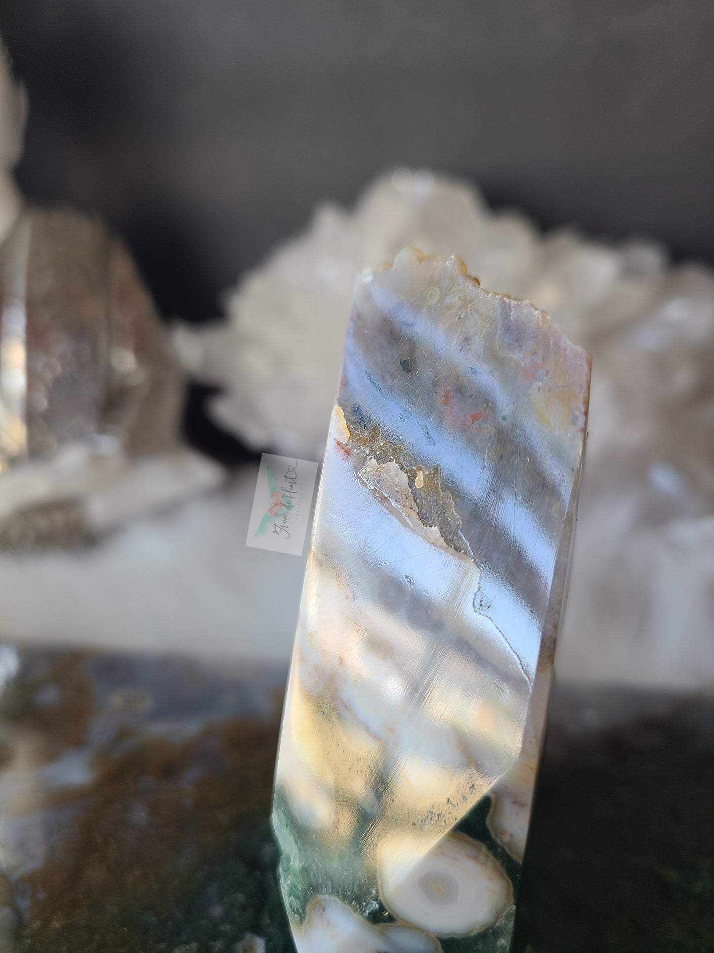 Orbicular Ocean Jasper Free form
