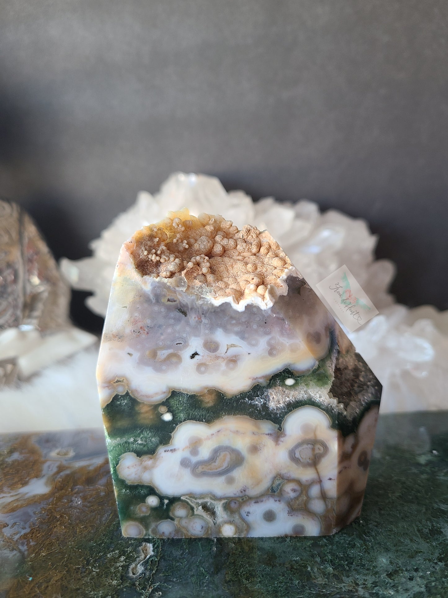 Orbicular Ocean Jasper Free form