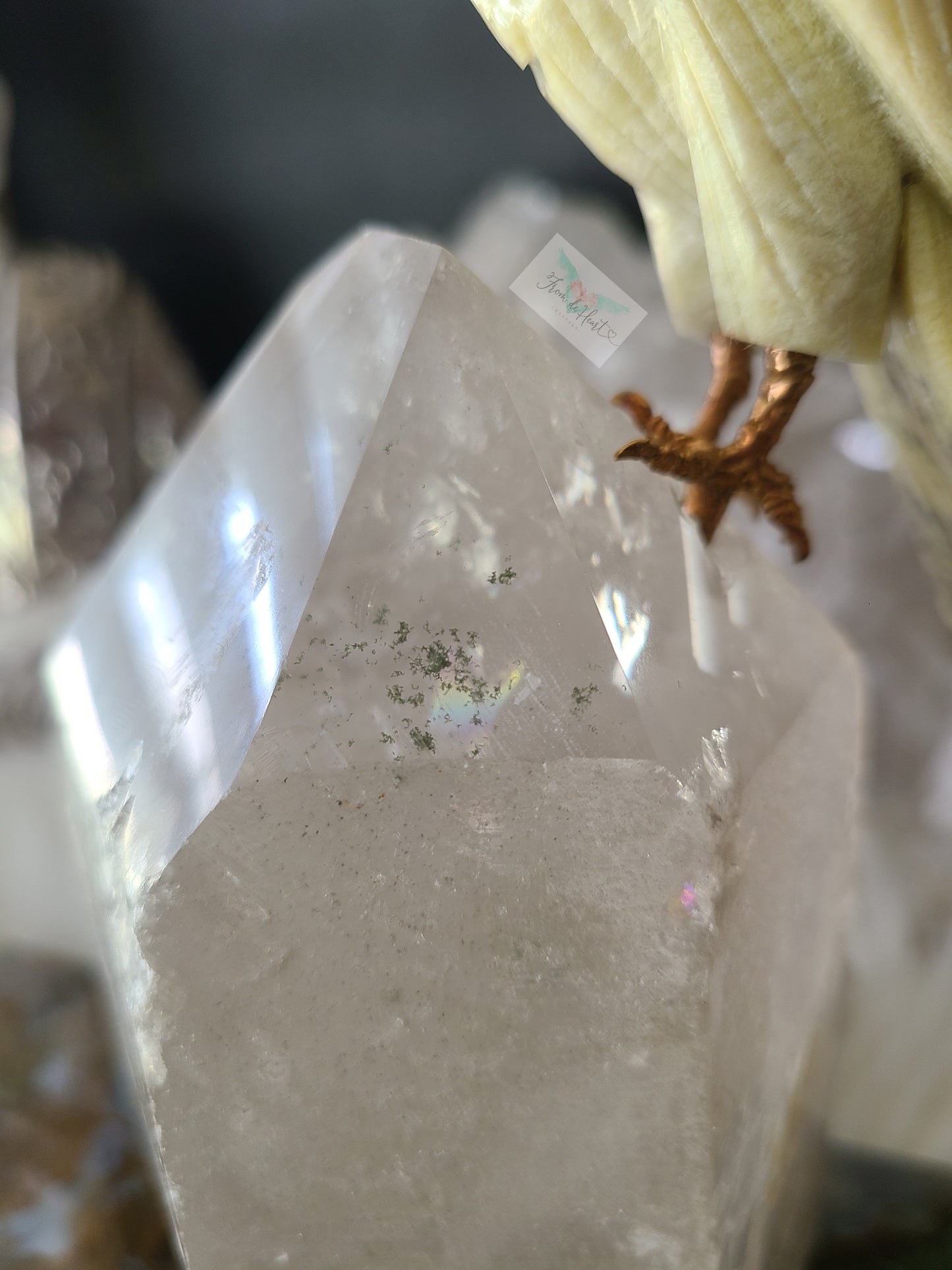 Cockatoo on Smoky Garden Quartz Base