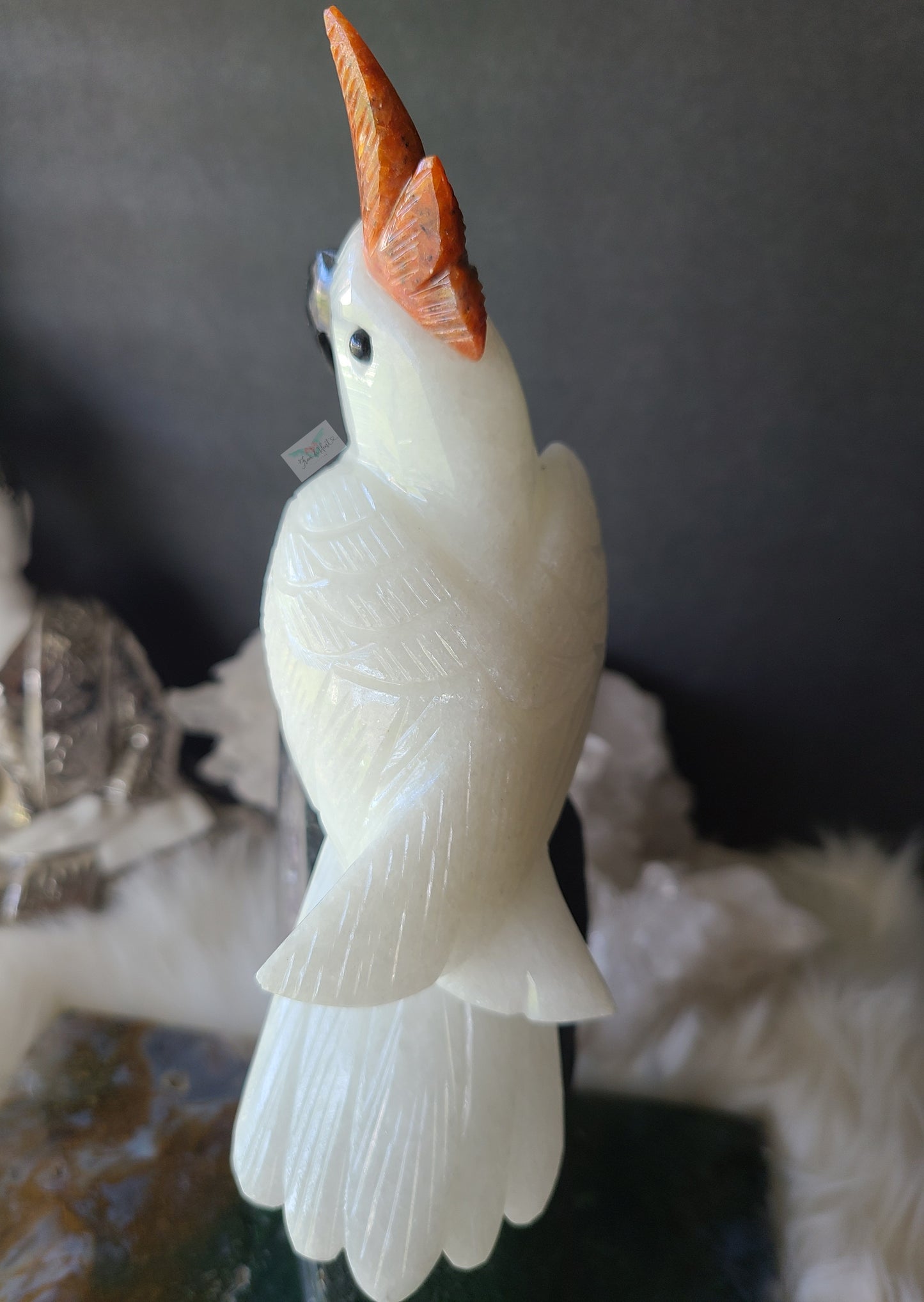Quartz Cockatoo on Phantom Amethyst Cathedral