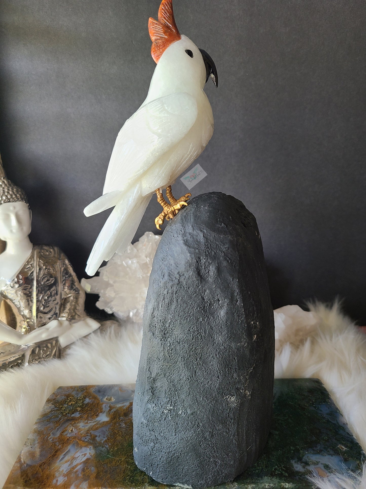 Quartz Cockatoo on Phantom Amethyst Cathedral