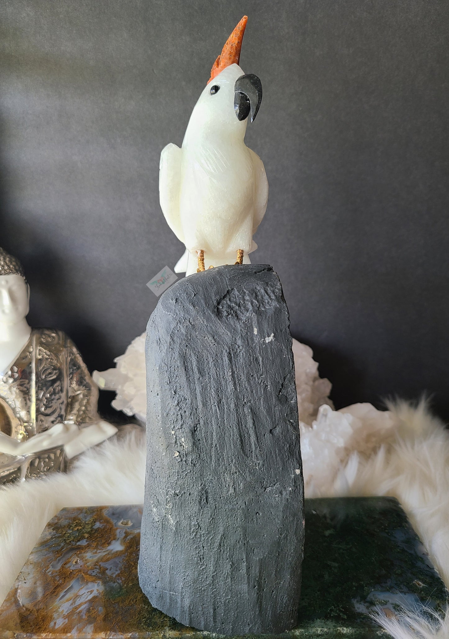Quartz Cockatoo on Phantom Amethyst Cathedral