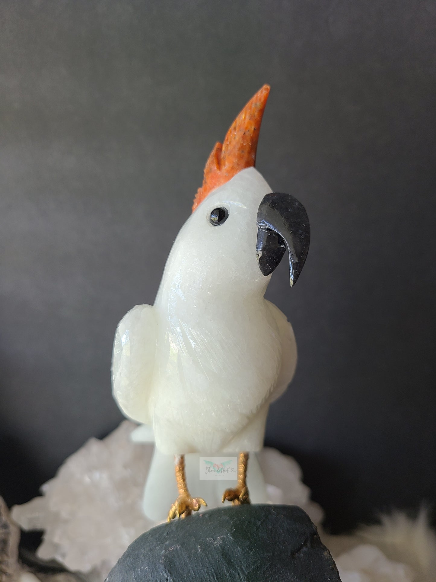 Quartz Cockatoo on Phantom Amethyst Cathedral