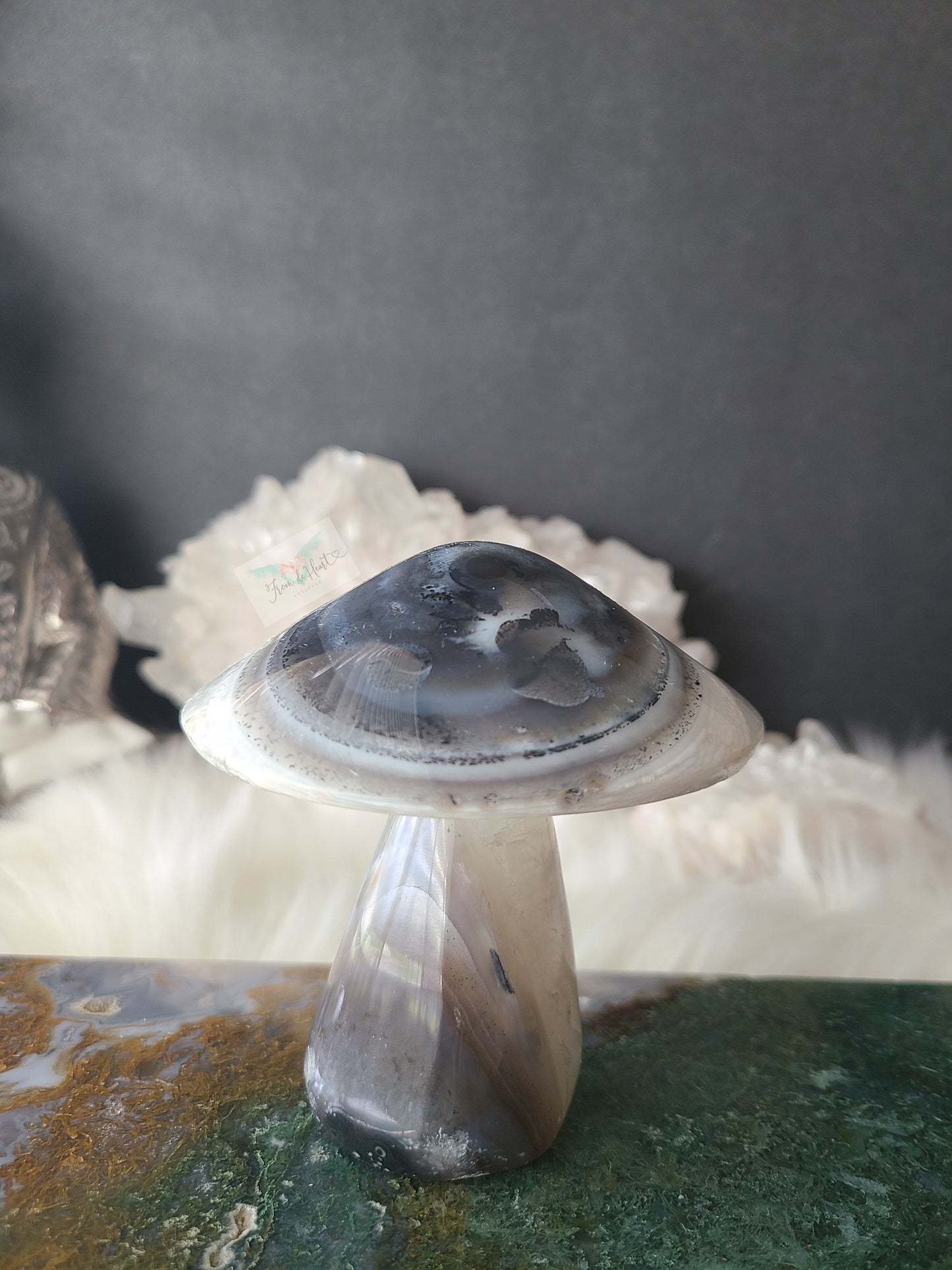 Agate Mushroom