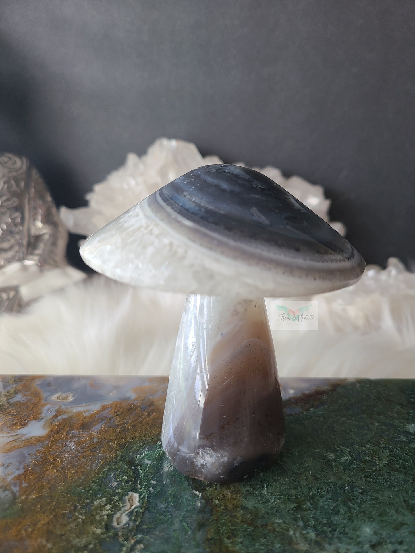 Agate Mushroom