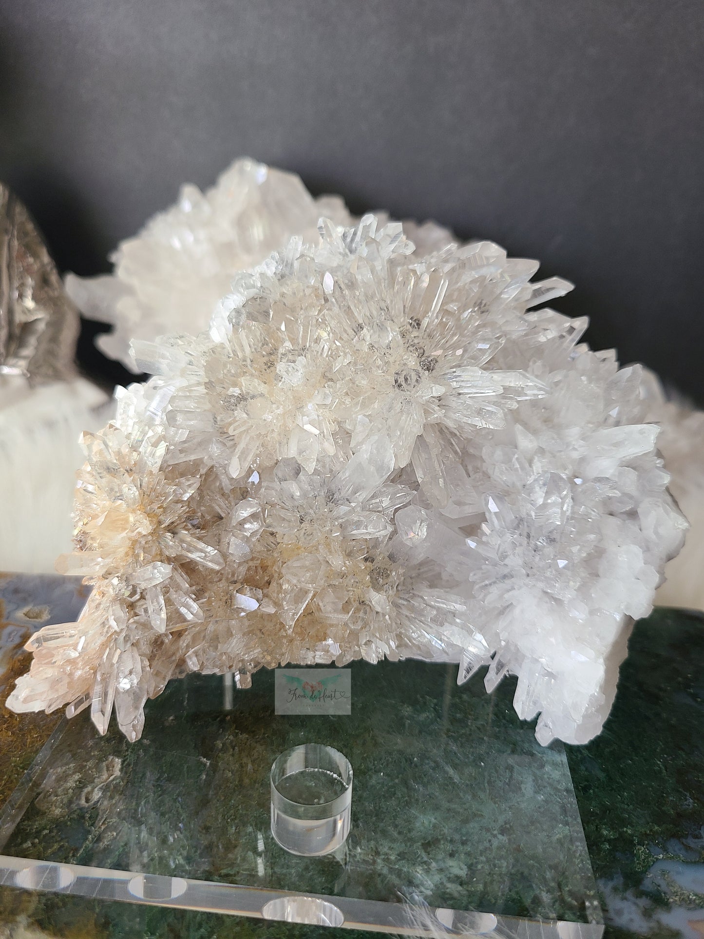 Chrysanthemum Quartz (B)