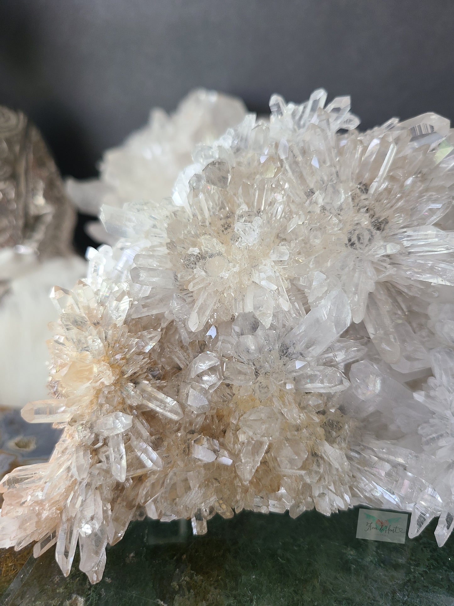 Chrysanthemum Quartz (B)
