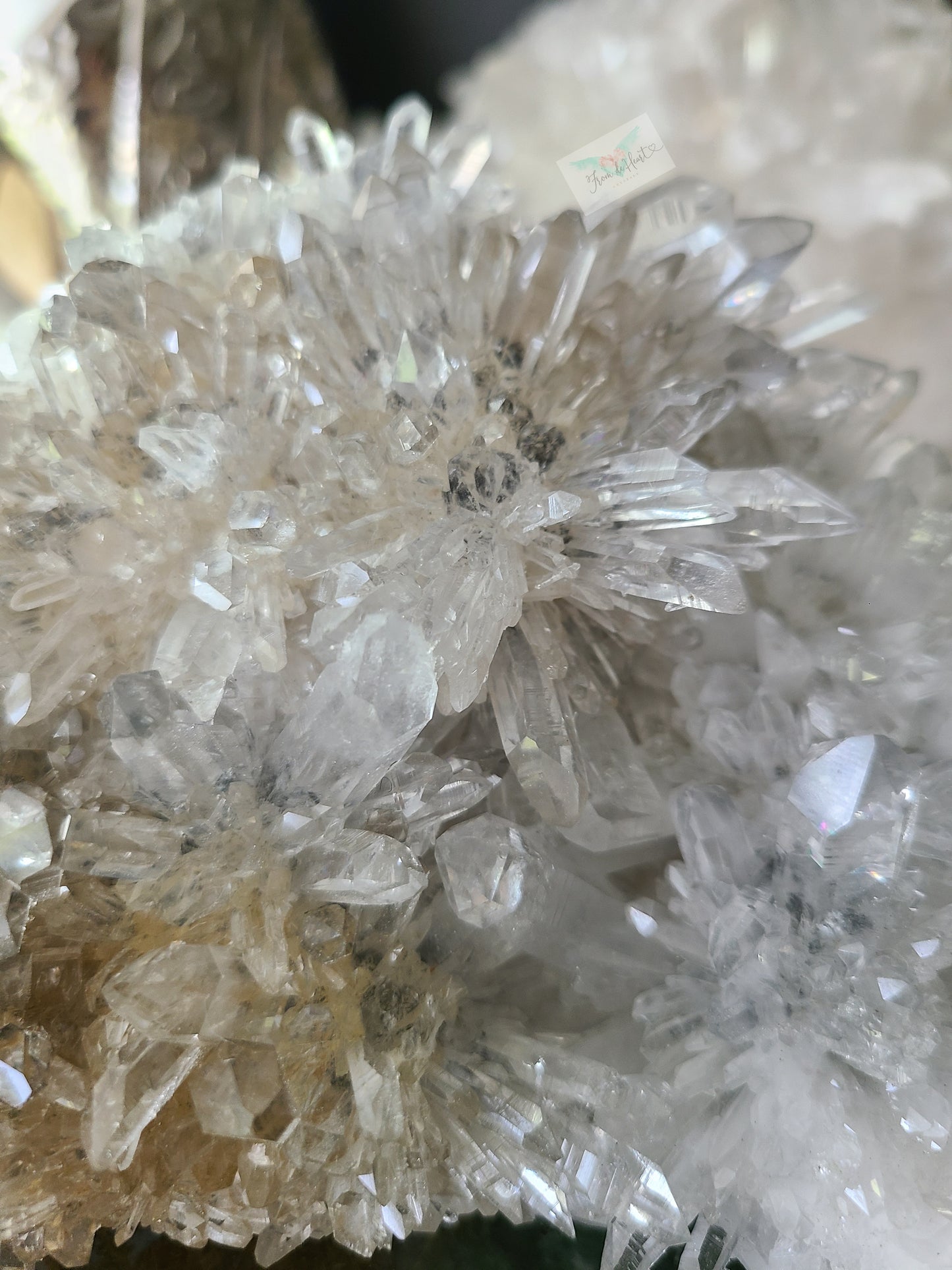 Chrysanthemum Quartz (B)
