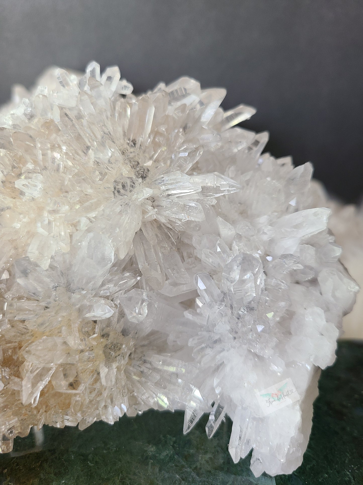 Chrysanthemum Quartz (B)