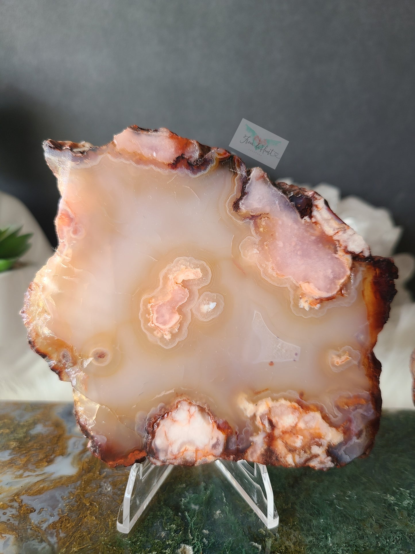 Carnelian Flower Agate Slabs (B)