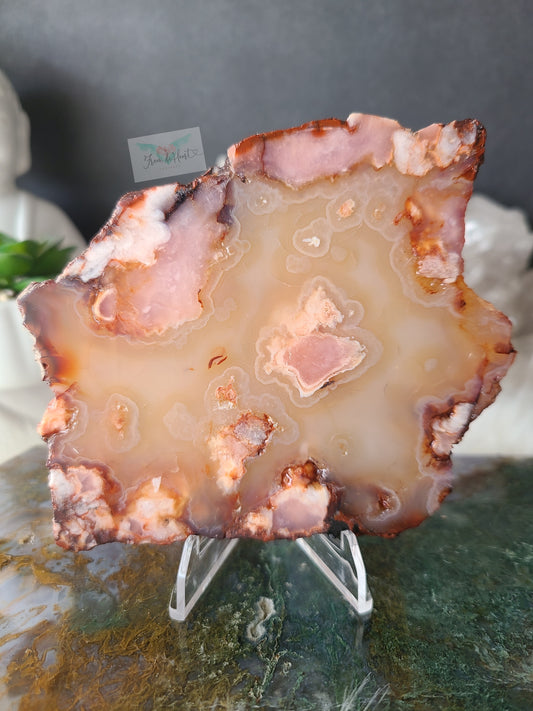 Carnelian Flower Agate Slabs (B)
