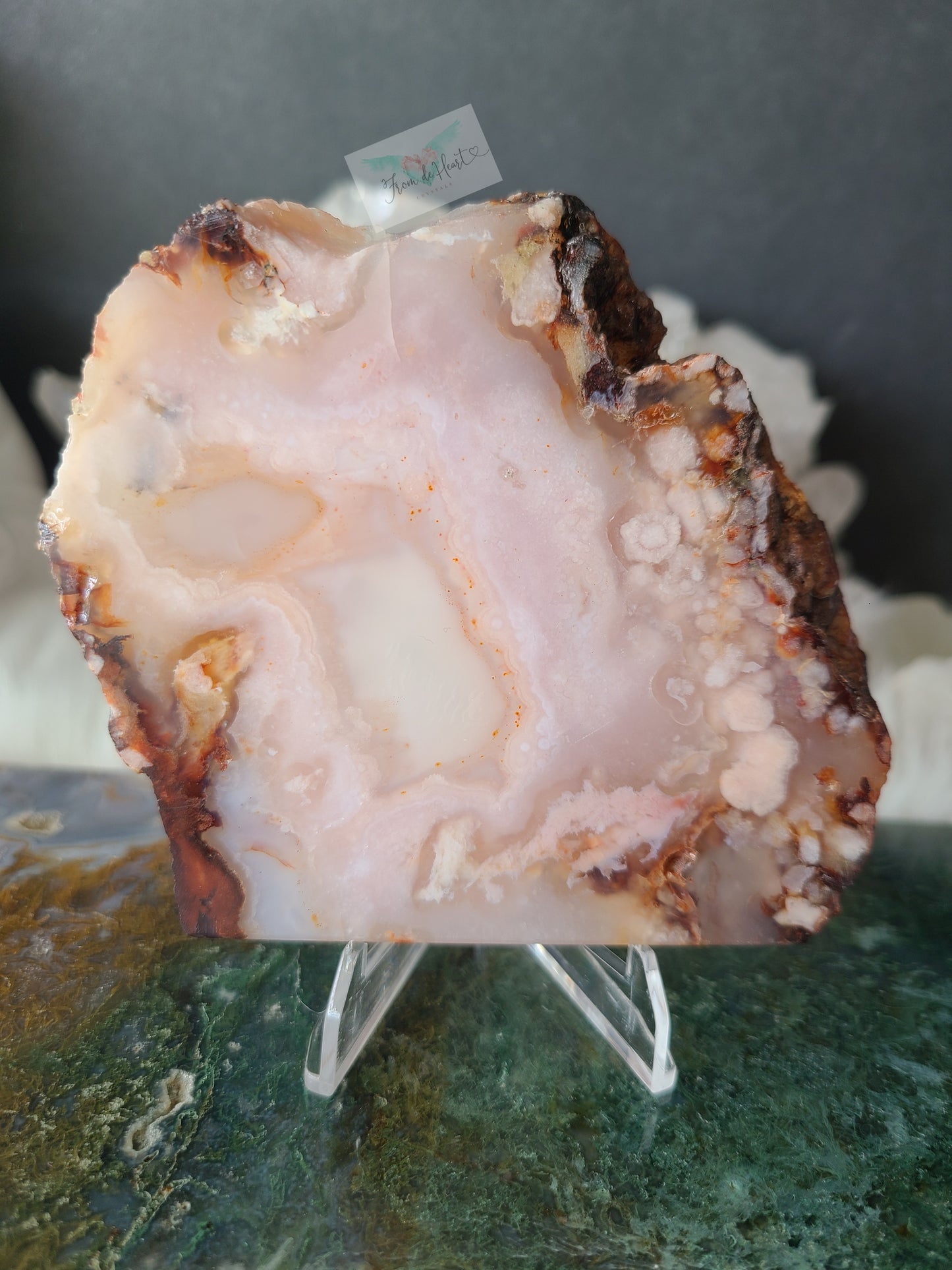 Carnelian Flower Agate Slabs (C)