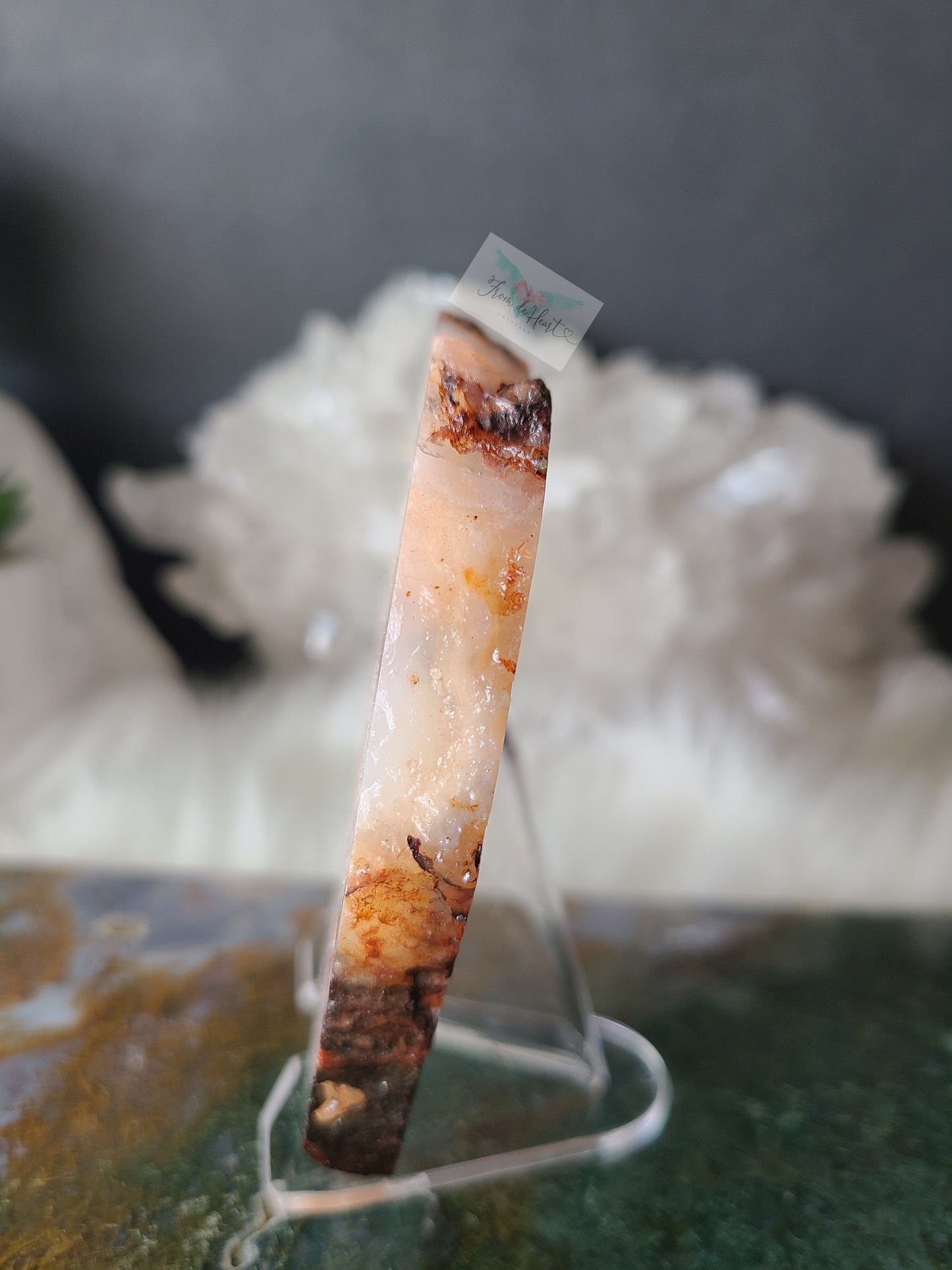 Carnelian Flower Agate Slabs (C)