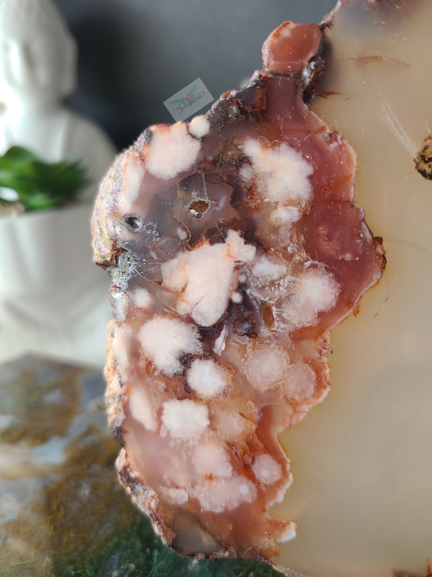 Carnelian Flower Agate Slabs (A)