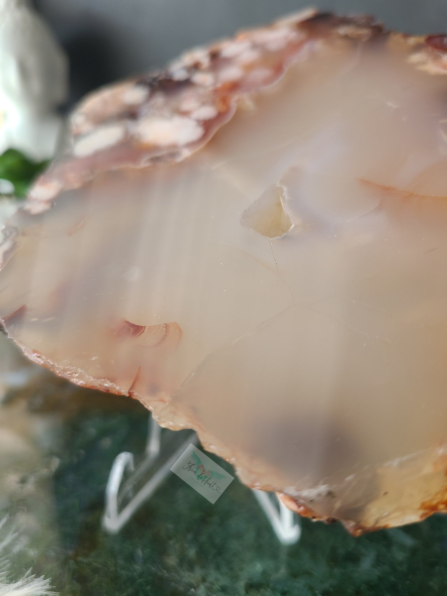 Carnelian Flower Agate Slabs (A)