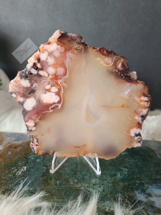 Carnelian Flower Agate Slabs (A)