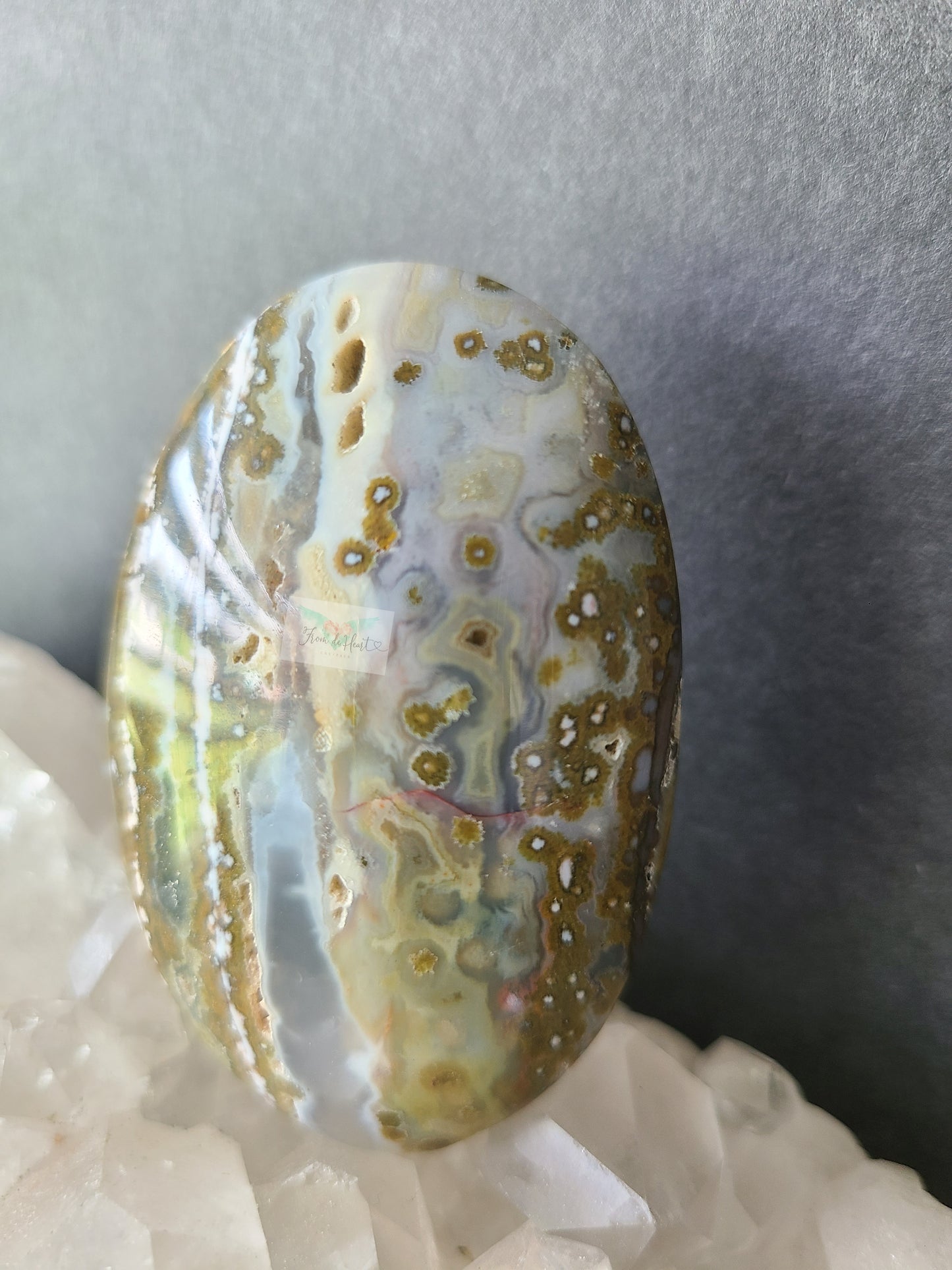 Ocean Jasper Palmstone