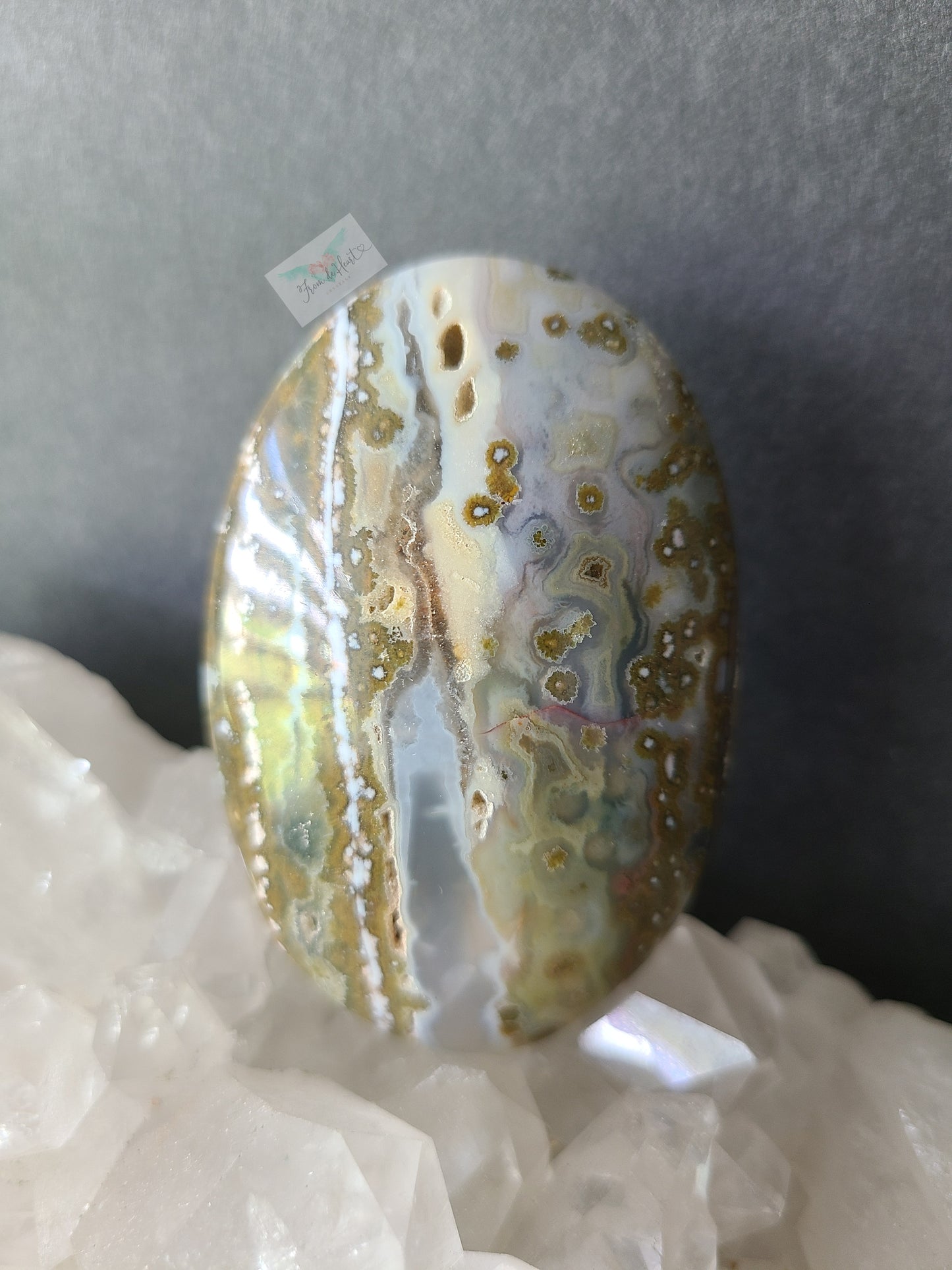 Ocean Jasper Palmstone