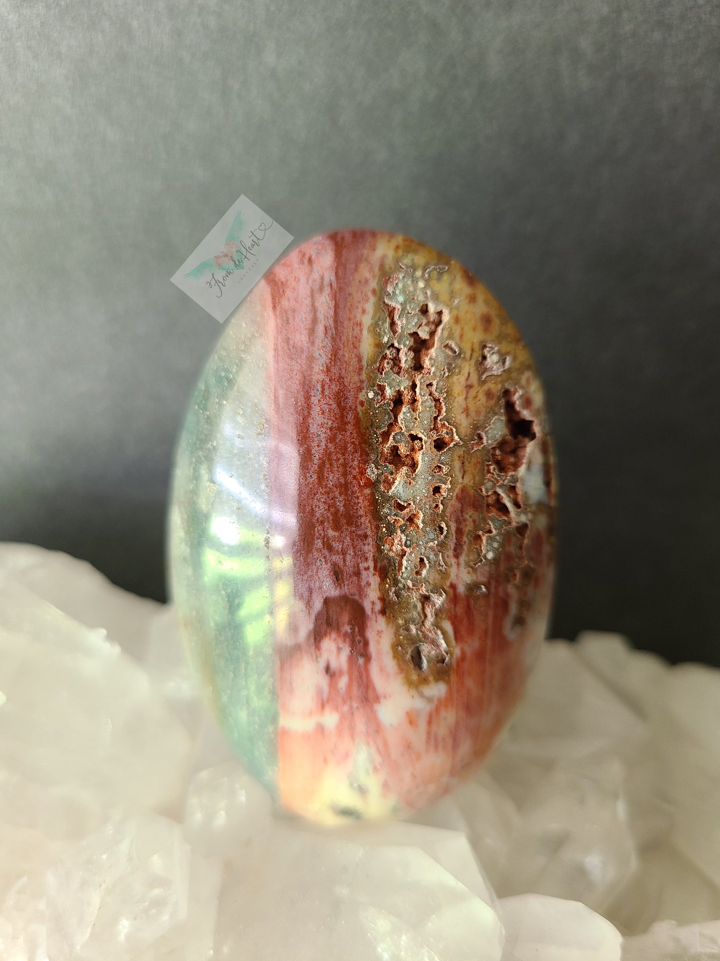 Ocean Jasper Palmstone