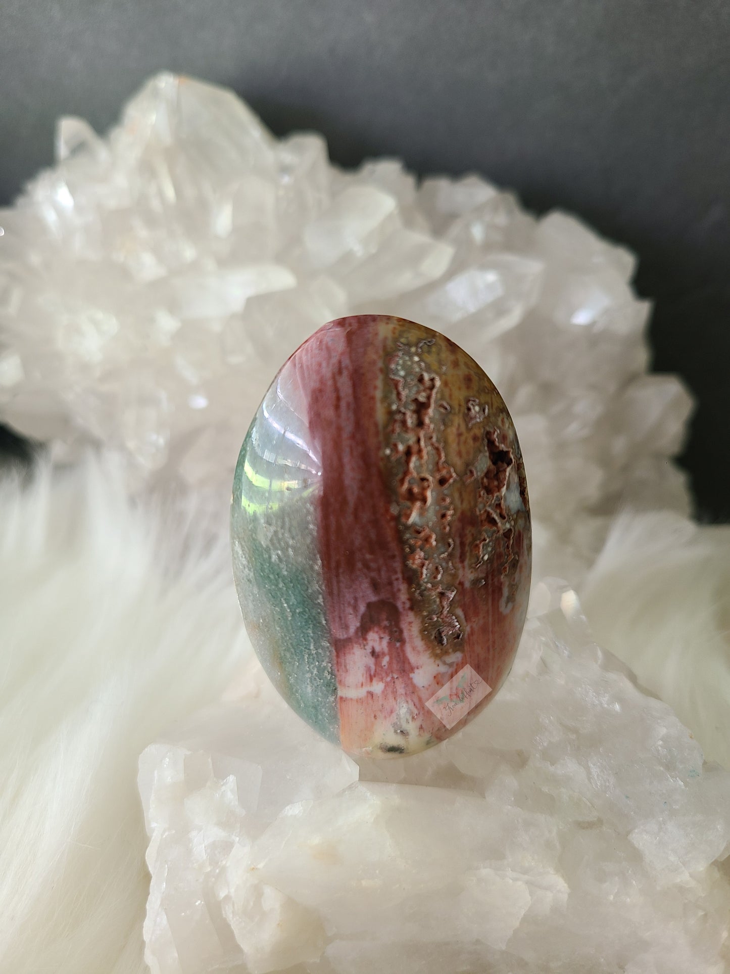 Ocean Jasper Palmstone