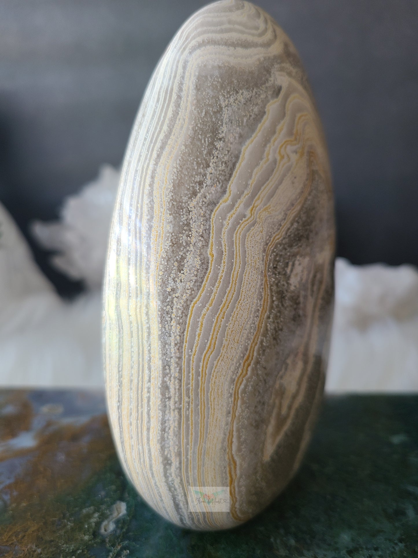 Orbicular Jasper Ocean Jasper Freeform