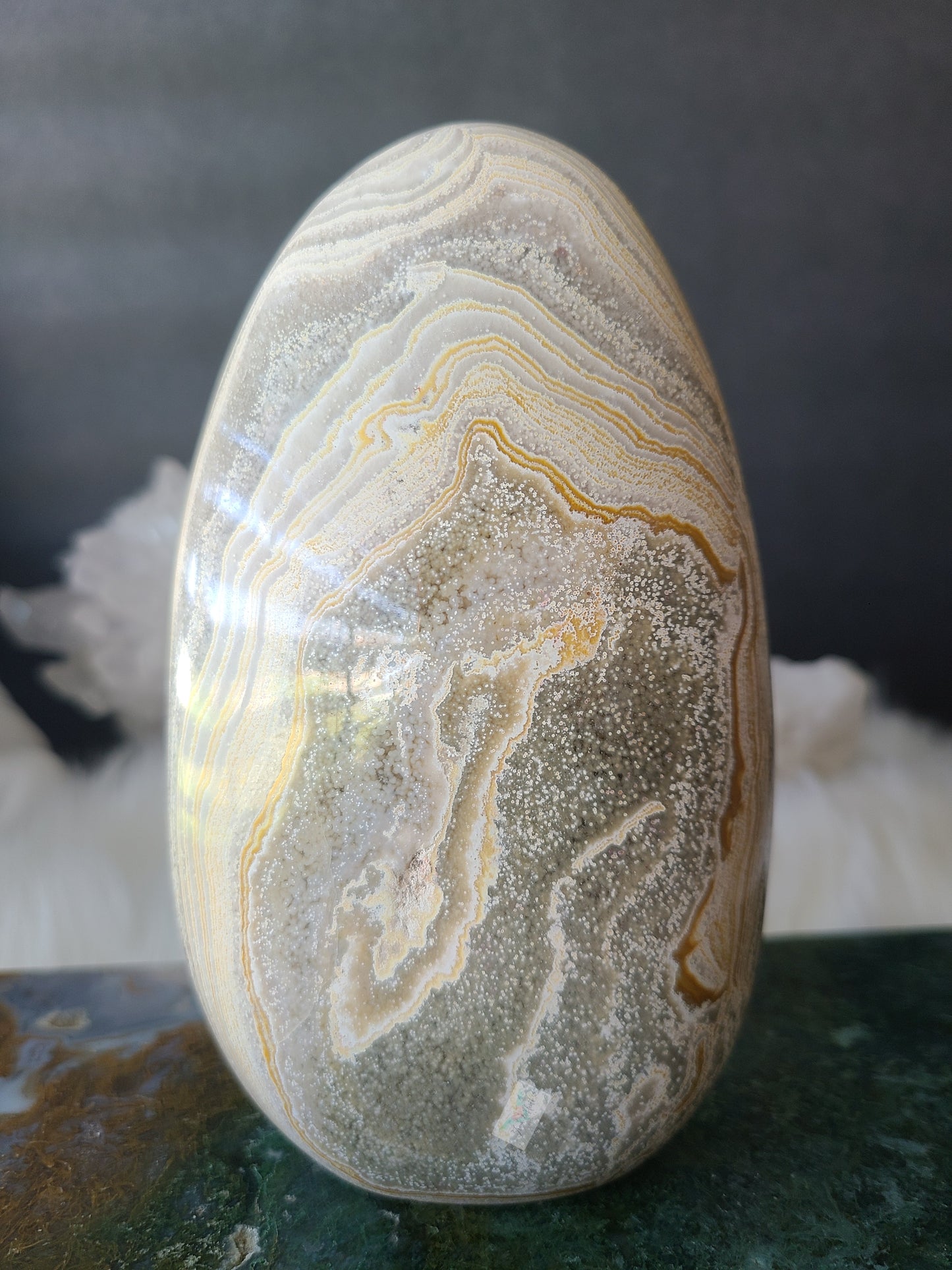 Orbicular Jasper Ocean Jasper Freeform