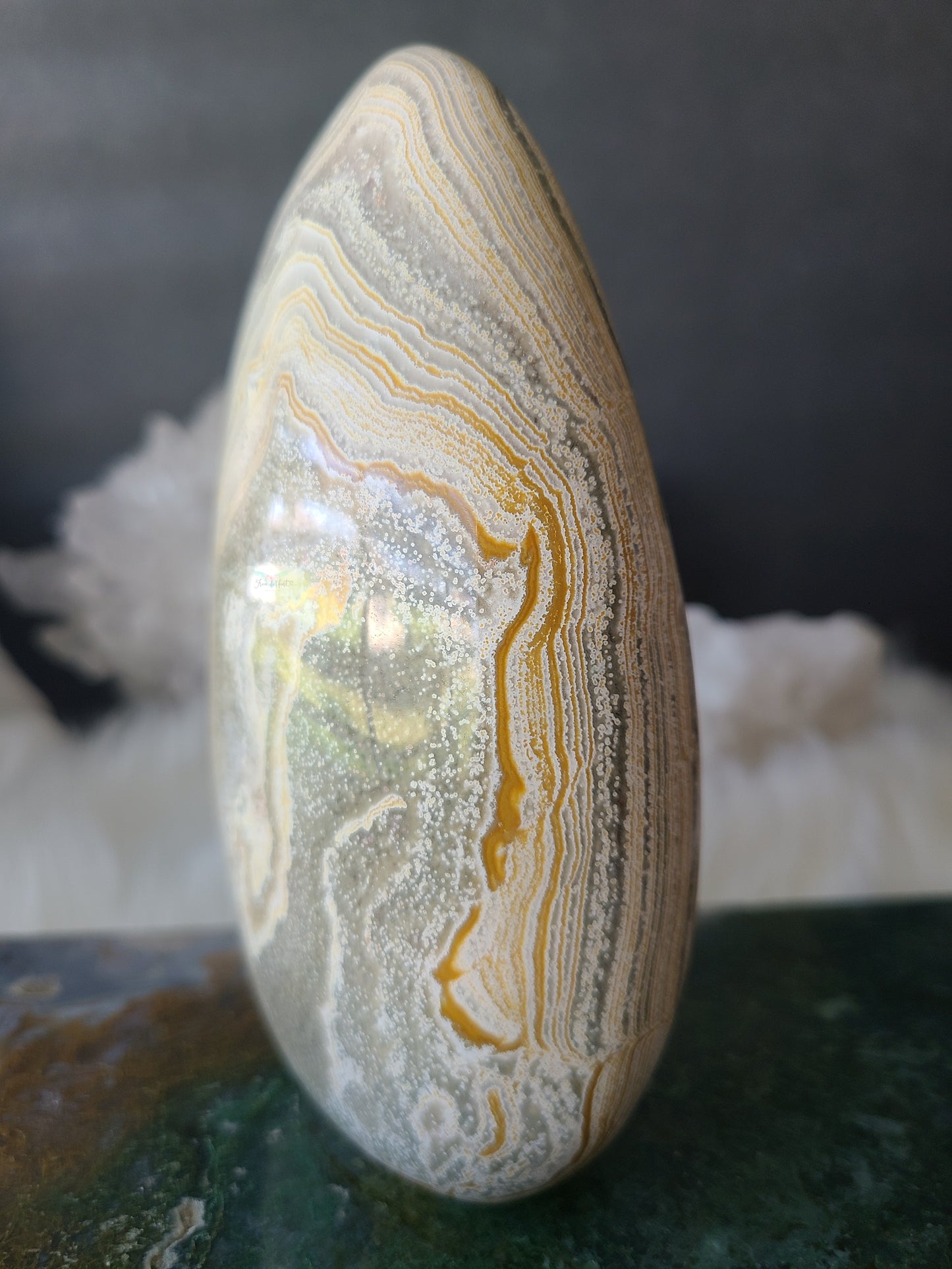 Orbicular Jasper Ocean Jasper Freeform
