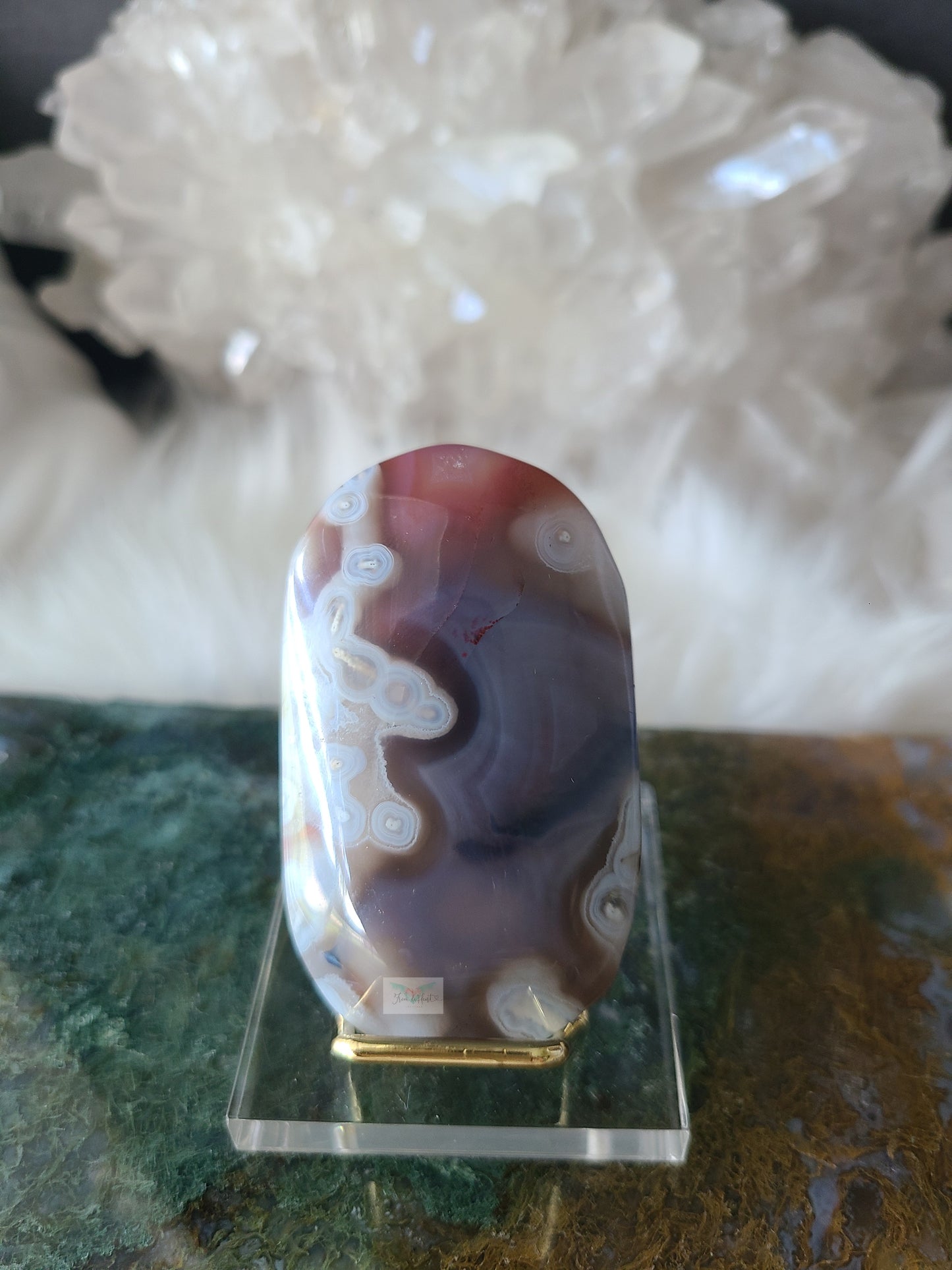 Orbicular Swazi Agate A (RARE FIND)