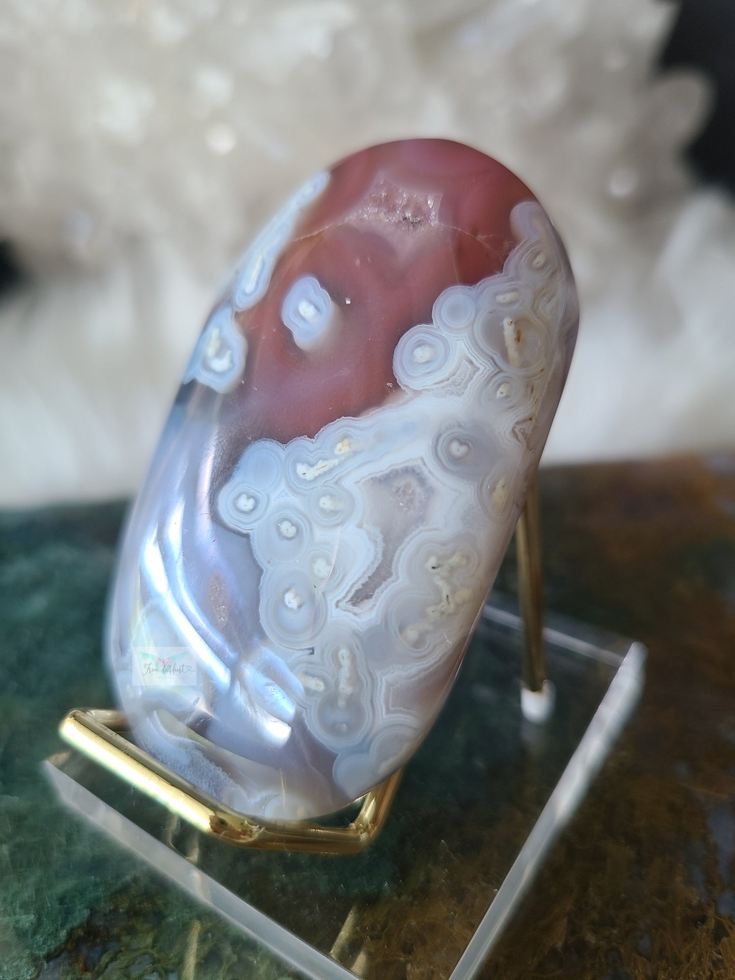Orbicular Swazi Agate A (RARE FIND)